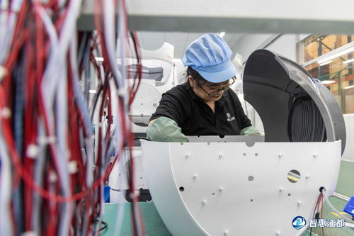 江都宠物用品迈向智能化，引领全球市场新潮流