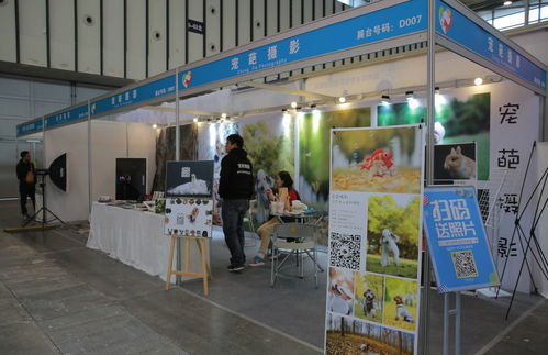 逛完南京宠物文化节，我感受到了“人不如狗”的滋味 宠物美容服务的极致关怀