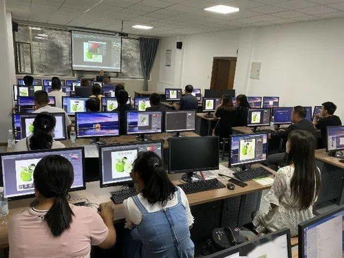 跨越山海协作攻坚——2020年即墨区·文县东西部扶贫协作电子商务培训观摩考察侧记