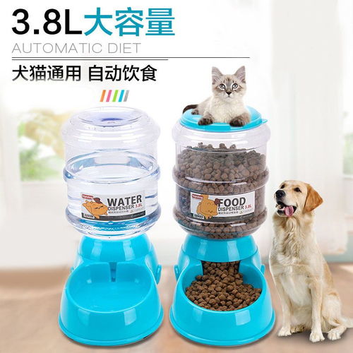 宠物饮水与喂食解决方案 自动设备的优势与美容服务结合