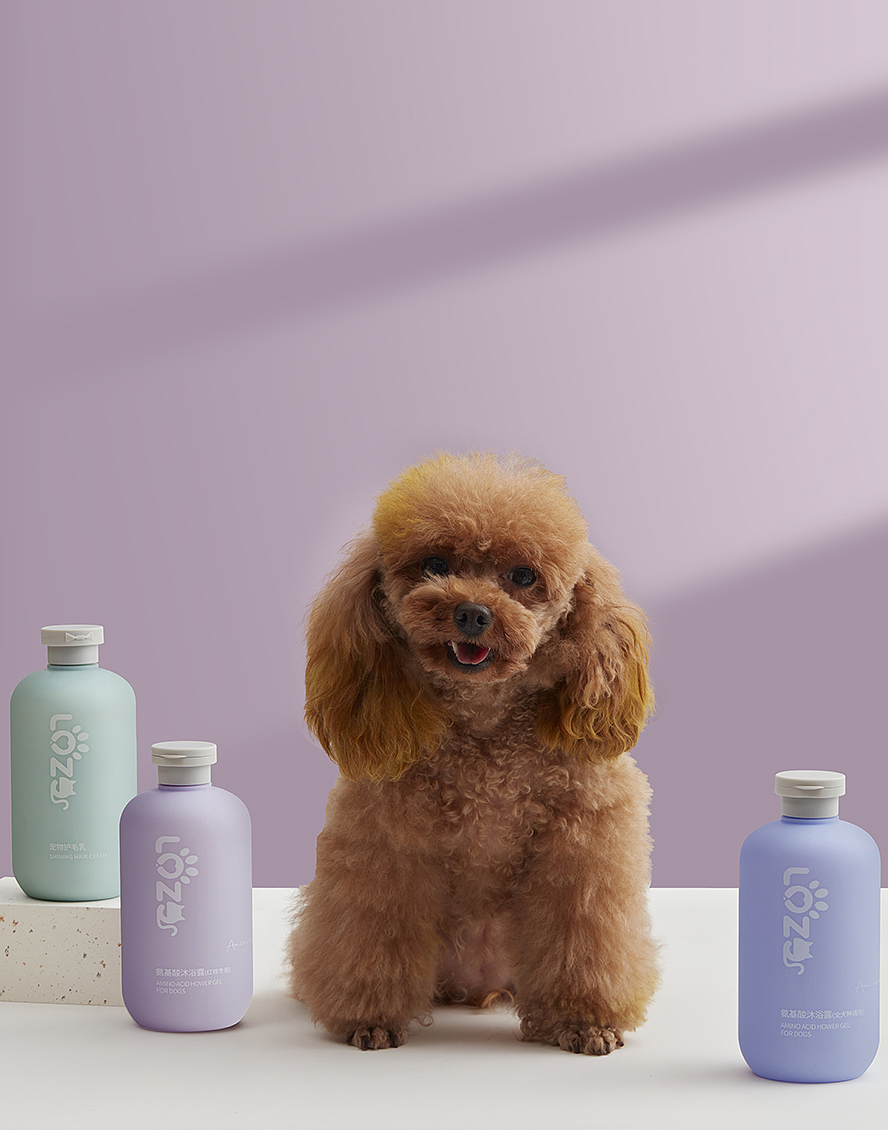 宠物用品摄影 捕捉萌宠与产品的完美瞬间