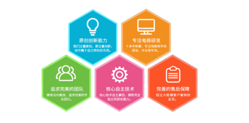 电商网站软件服务与电子商务技术服务 构建高效在线商业生态的核心支柱