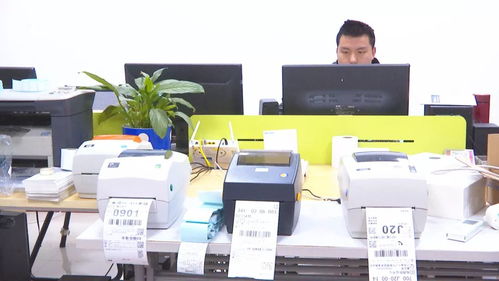 万山以特色创新为引擎，推进电子商务技术服务有序发展