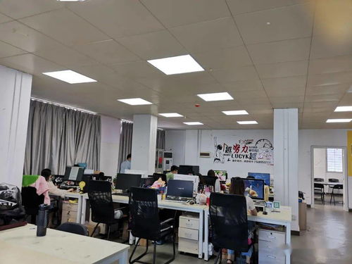 市市场监管局江城分局强化电子商务技术服务监管，护航线上经营秩序