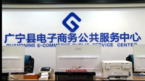 完善服务体系，技术赋能电商 我县电子商务发展的新篇章